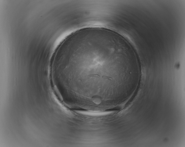 X0000111821424200907301246