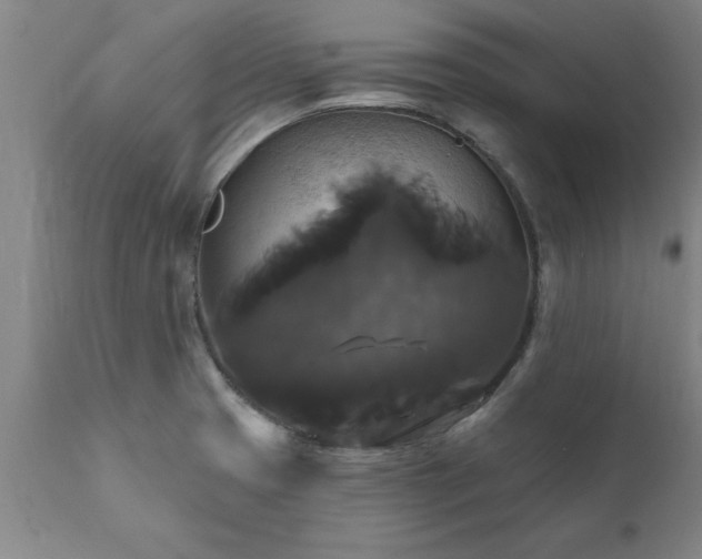 X0000111821425200907301246