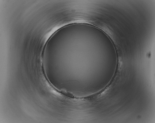 X0000111821428200907301246