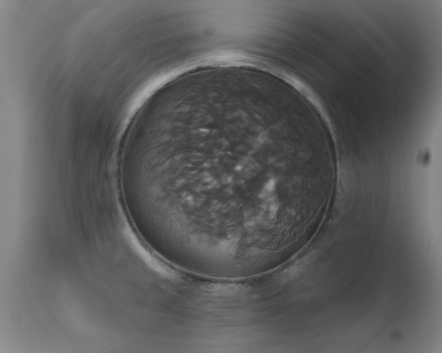 X0000111821429200907301246