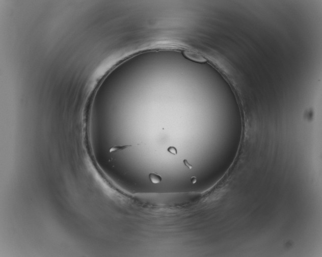 X0000111821430200907301246