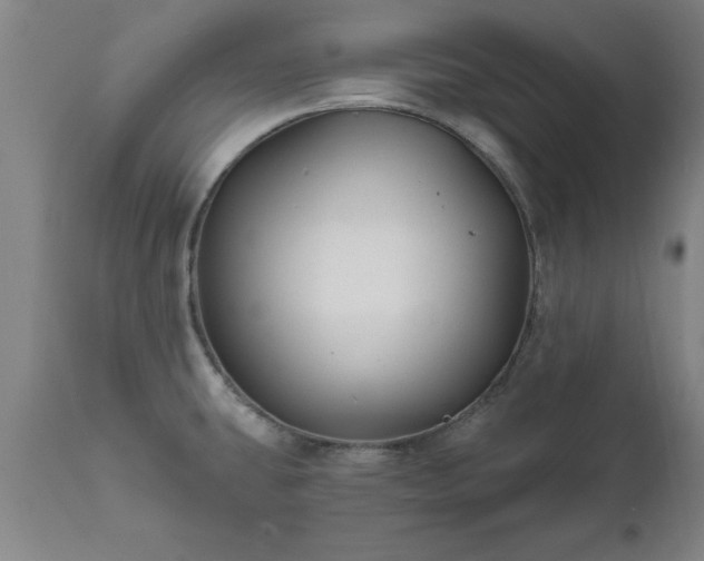 X0000111821431200907301246