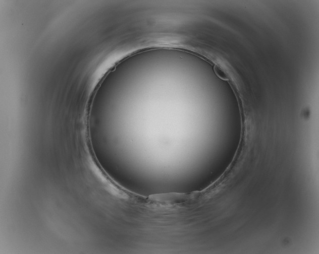 X0000111821432200907301246