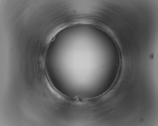 X0000111821433200907301246