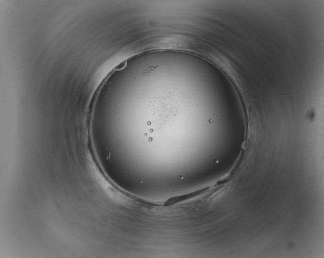 X0000111821434200907301246