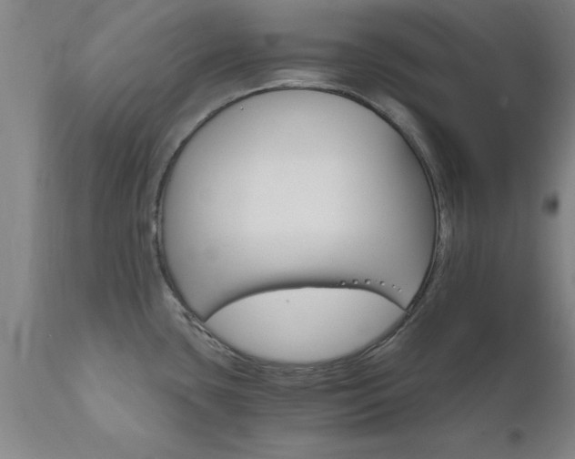 X0000111821435200907301246