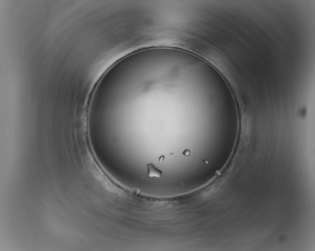 X0000111821436200907301246