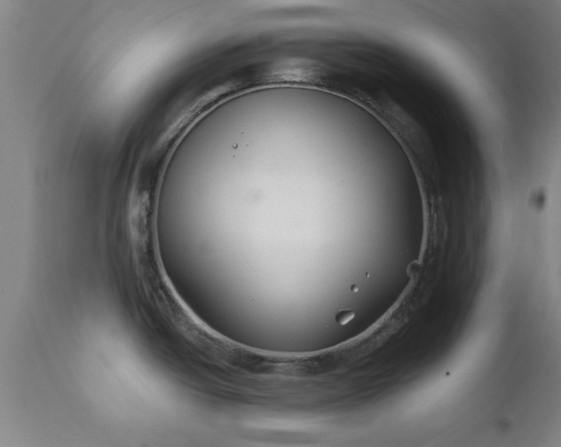 X0000111821438200907301246