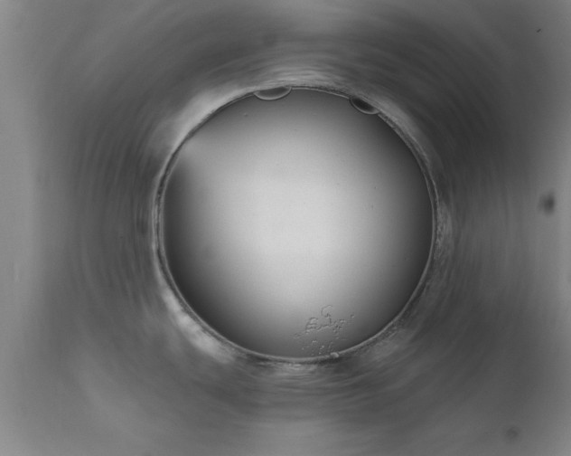 X0000111821439200907301246