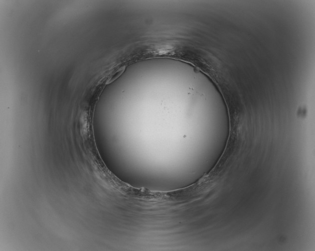 X0000111821442200907301245