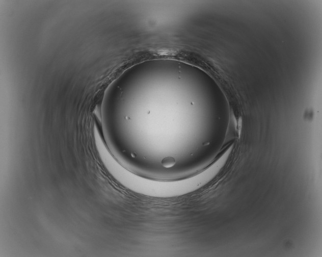 X0000111821443200907301245