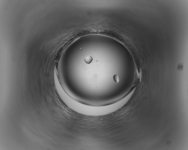 X0000111821444200907301245