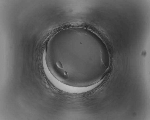 X0000111821445200907301245