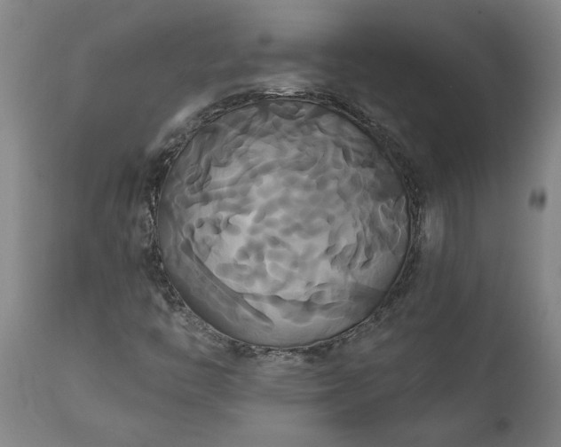 X0000111821446200907301245