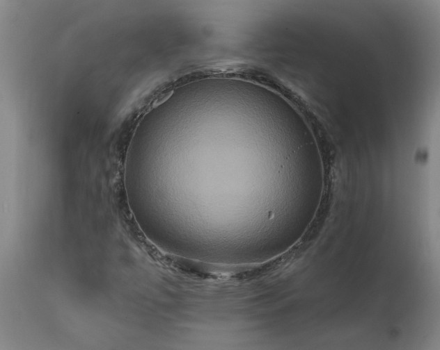 X0000111821447200907301245