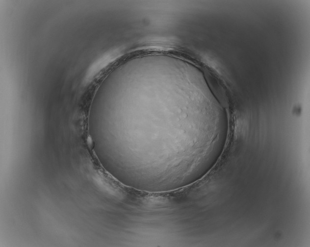 X0000111821448200907301245