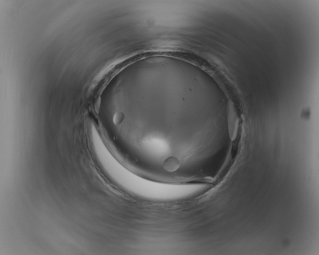 X0000111821449200907301245