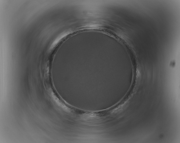 X0000111821450200907301245