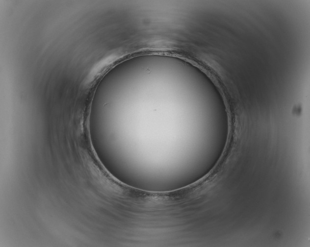 X0000111821451200907301245
