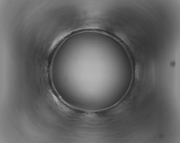 X0000111821452200907301245