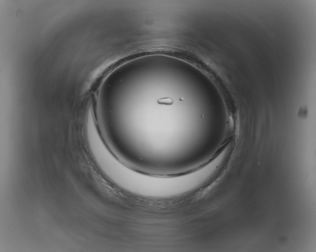 X0000111821453200907301245