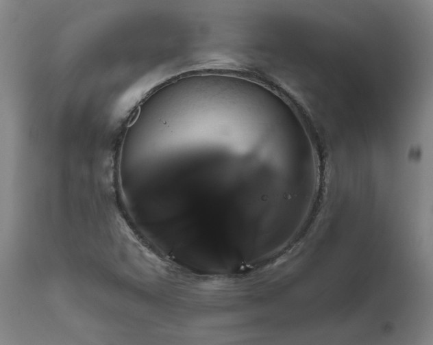 X0000111821455200907301245