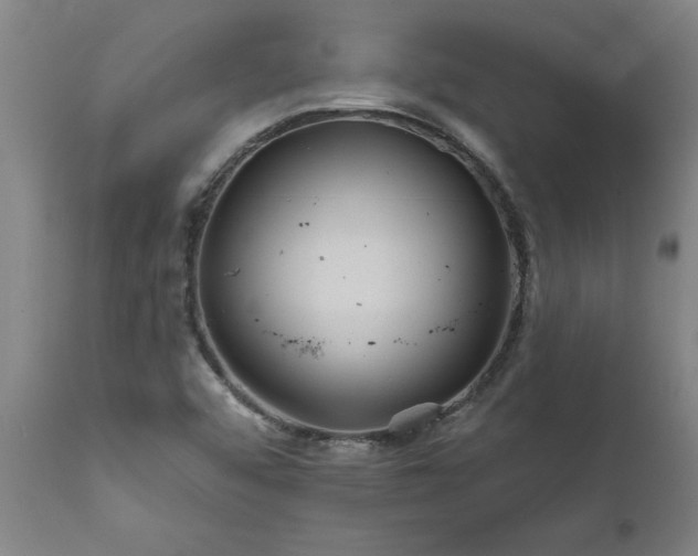 X0000111821456200907301245