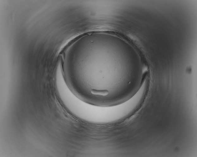 X0000111821457200907301245