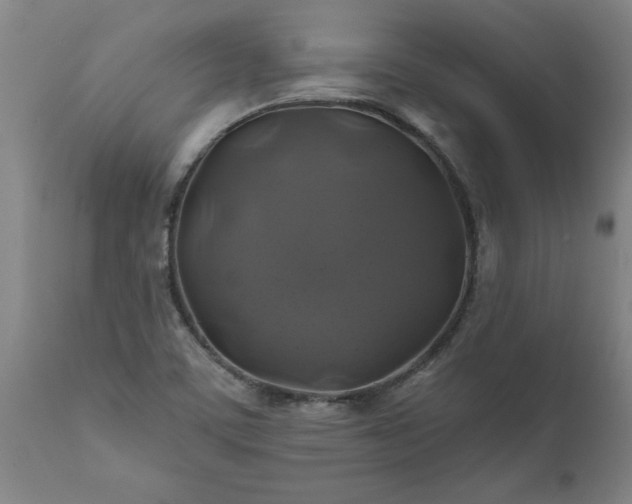 X0000111821459200907301245