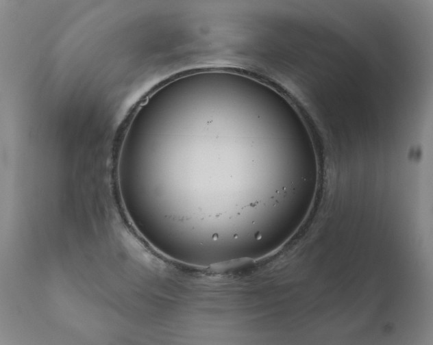 X0000111821460200907301245