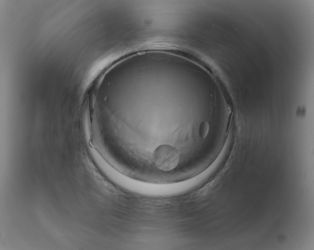 X0000111821461200907301245