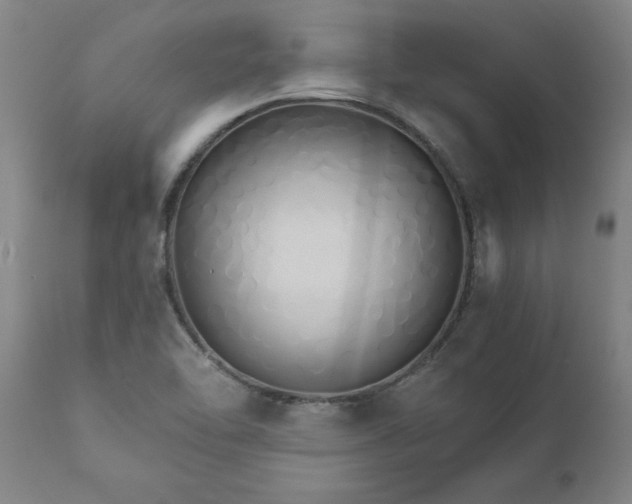X0000111821462200907301245