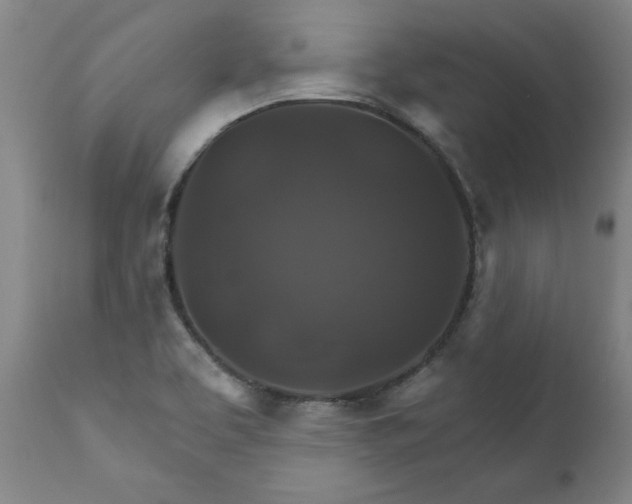 X0000111821463200907301245