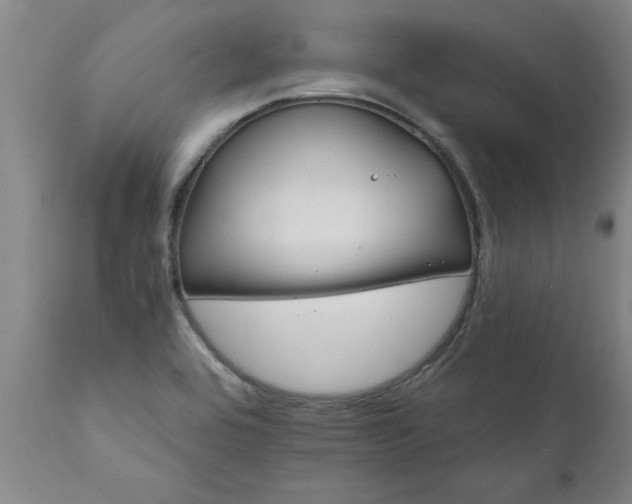 X0000111821464200907301245