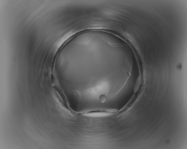 X0000111821465200907301245