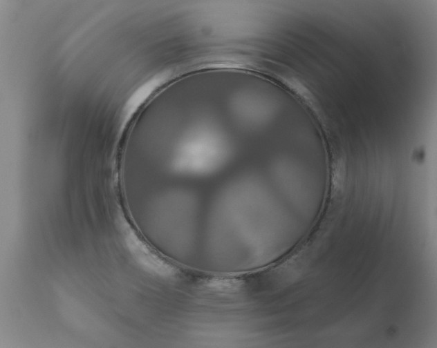 X0000111821466200907301245