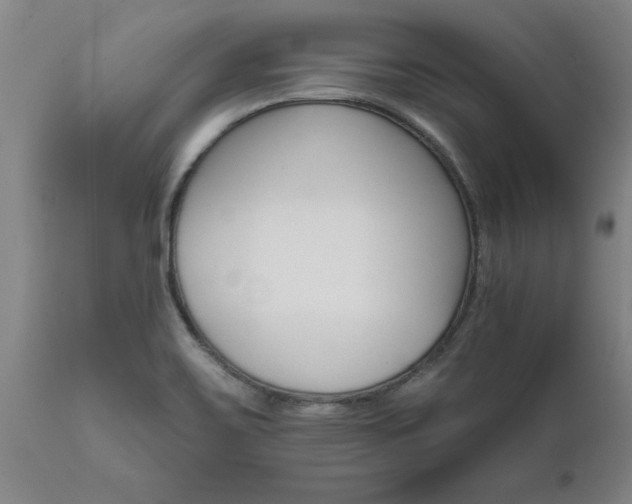 X0000111821467200907301245
