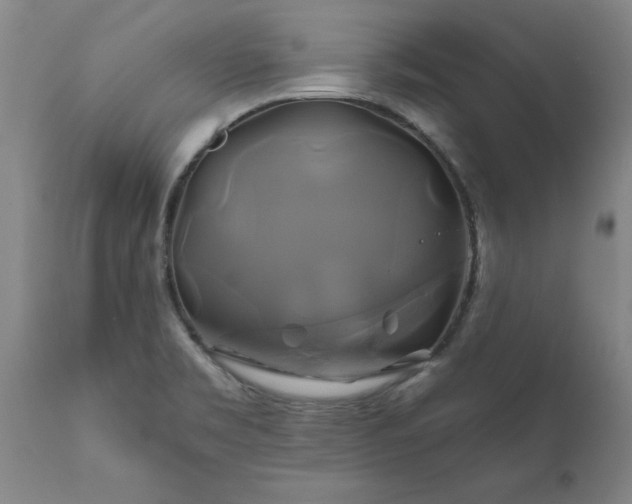 X0000111821469200907301245