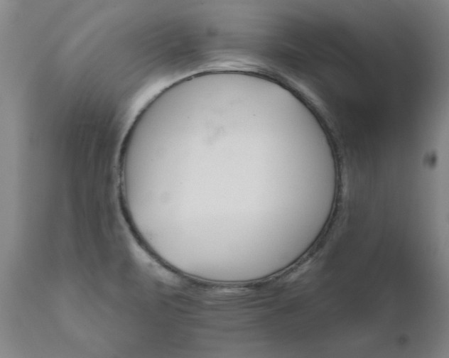 X0000111821471200907301245