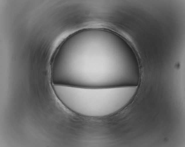 X0000111821472200907301245