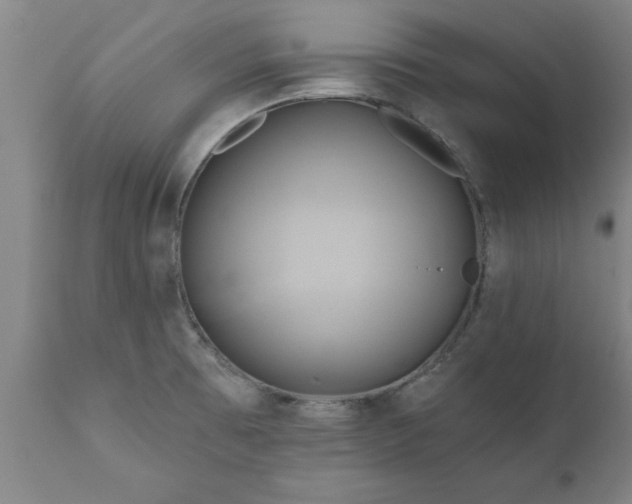 X0000111821473200907301245