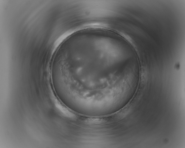 X0000111821474200907301245