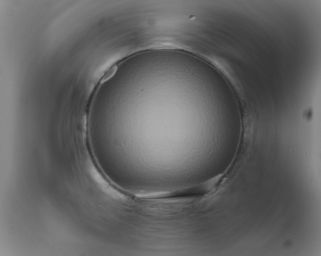 X0000111821476200907301245