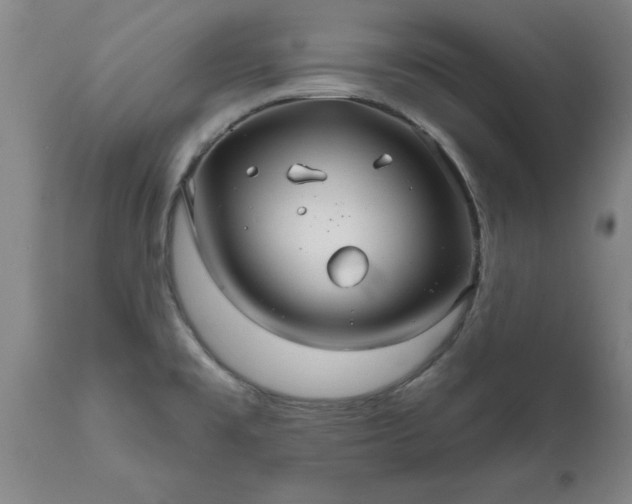 X0000111821477200907301245