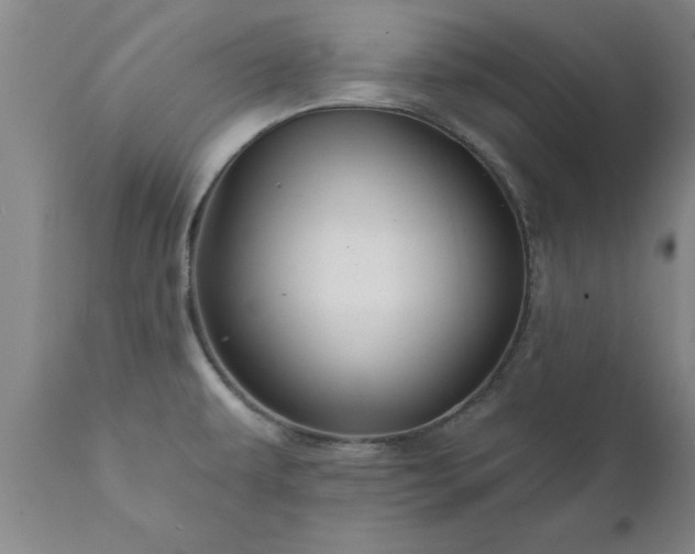 X0000111821479200907301245