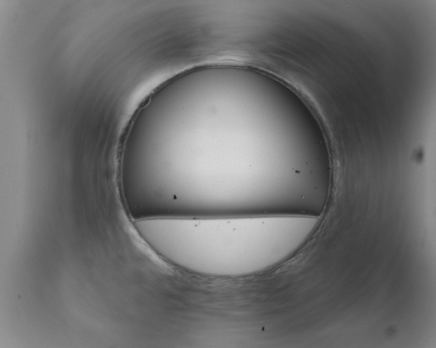X0000111821480200907301245