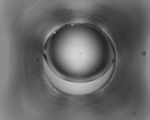 X0000111821481200907301245