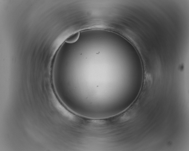 X0000111821483200907301245