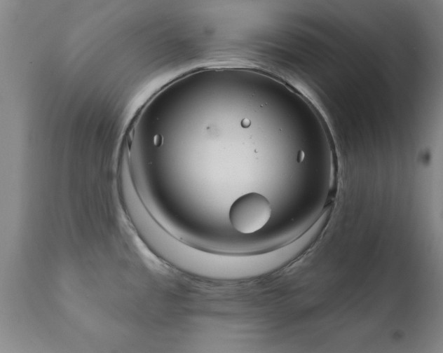 X0000111821485200907301245