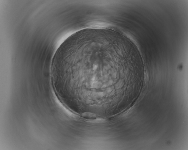 X0000111821487200907301245